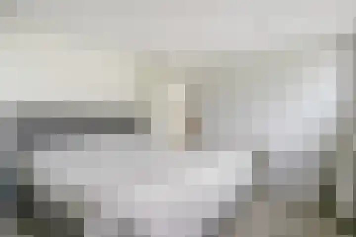 Rozeboom 25 Koog aan de Zaan thumbnail 25