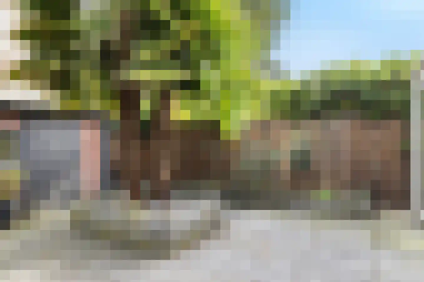 Rozeboom 25 Koog aan de Zaan thumbnail 26