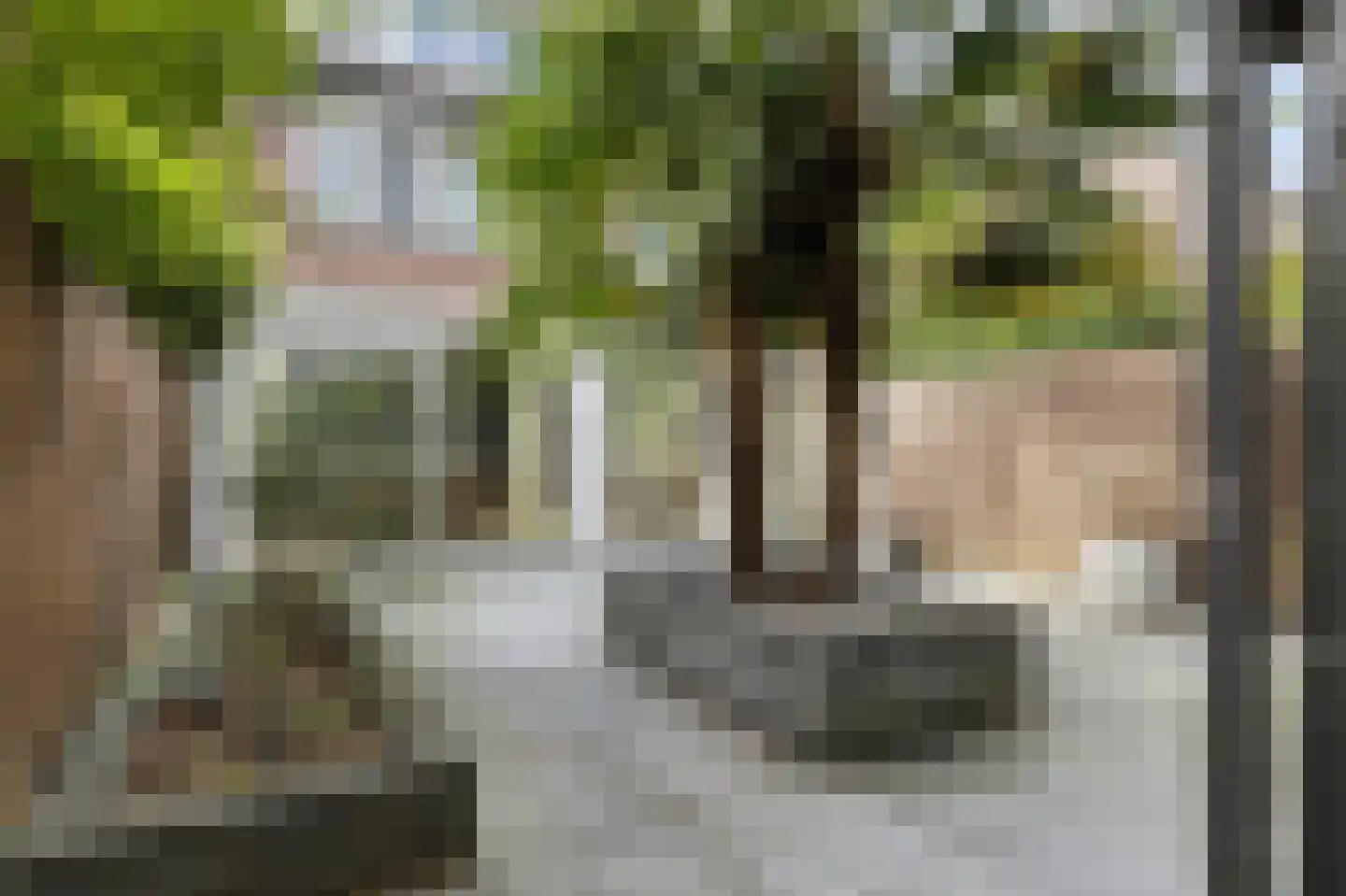 Rozeboom 25 Koog aan de Zaan thumbnail 28