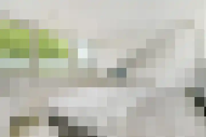 Rozeboom 25 Koog aan de Zaan thumbnail 37