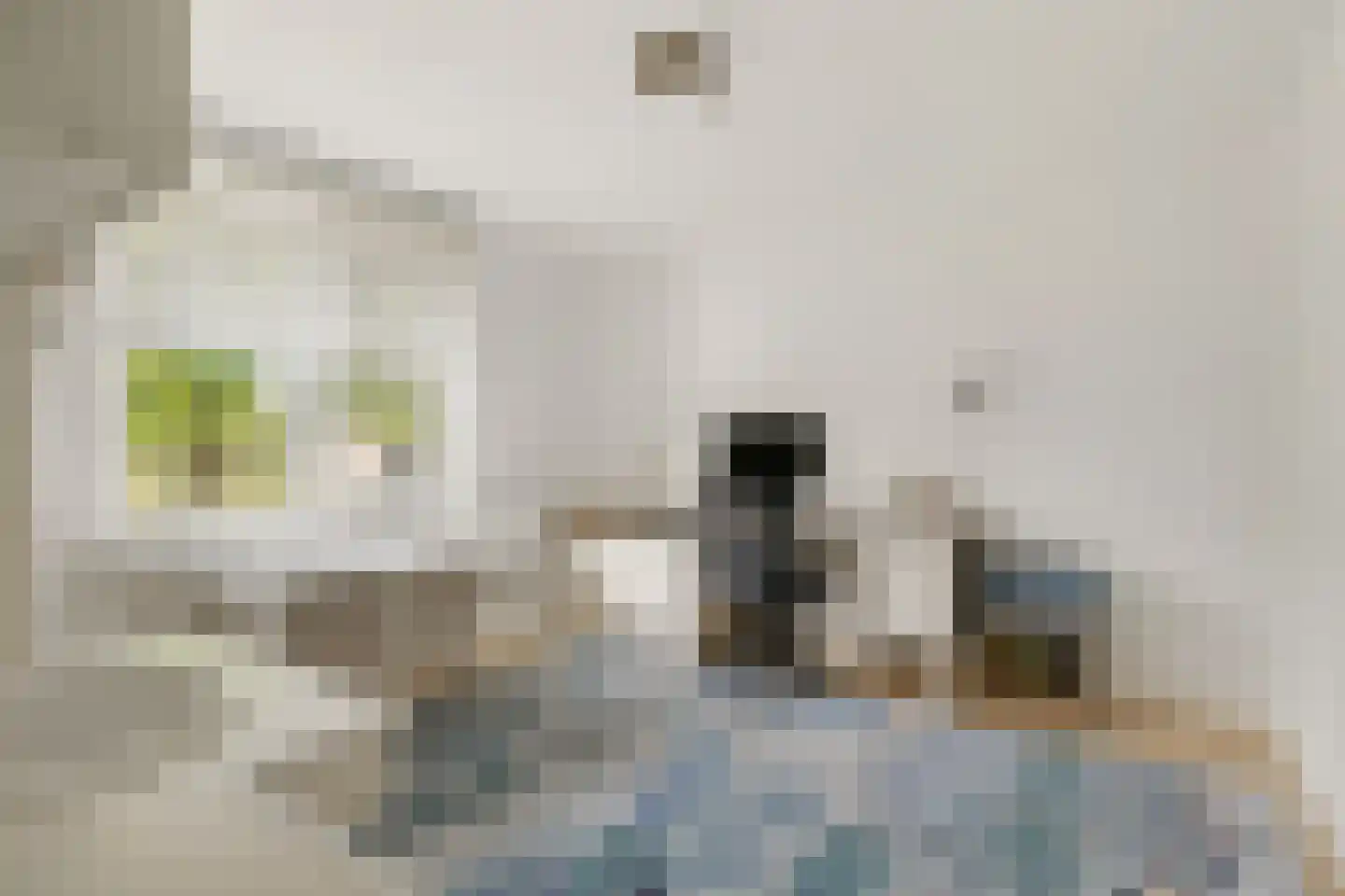Rozeboom 25 Koog aan de Zaan thumbnail 37