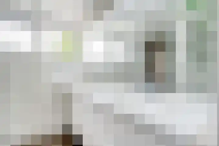 Rozeboom 25 Koog aan de Zaan thumbnail 4