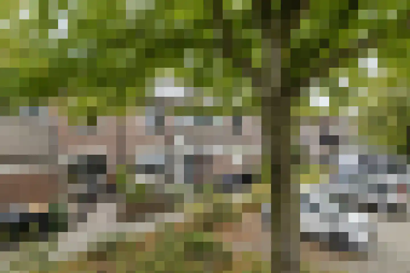 Rozeboom 25 Koog aan de Zaan thumbnail 4