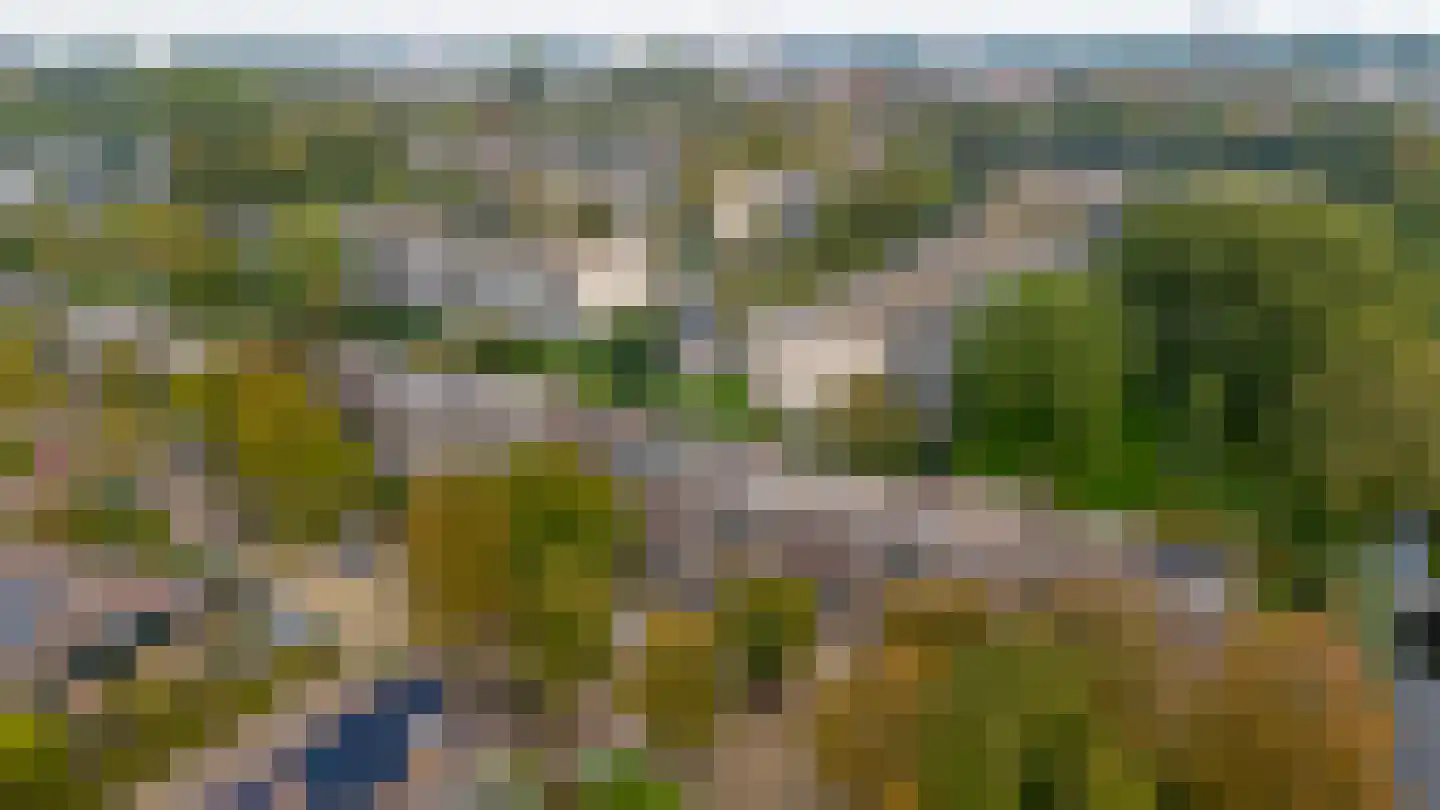 Rozeboom 25 Koog aan de Zaan thumbnail 46