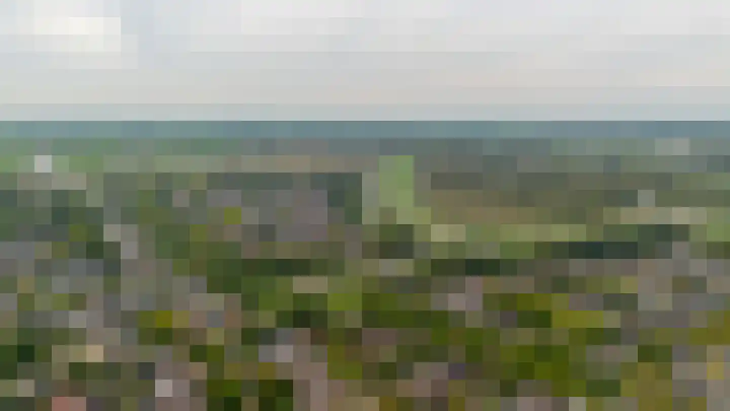 Rozeboom 25 Koog aan de Zaan thumbnail 47