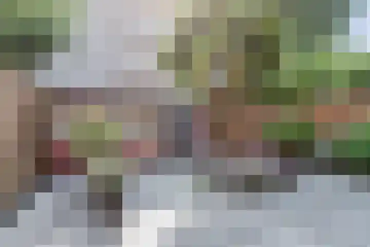 Rozeboom 25 Koog aan de Zaan thumbnail 48