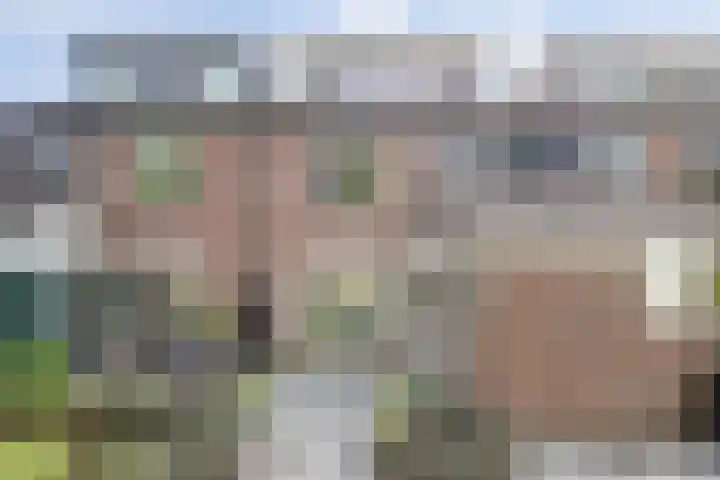 Rozeboom 25 Koog aan de Zaan thumbnail 57
