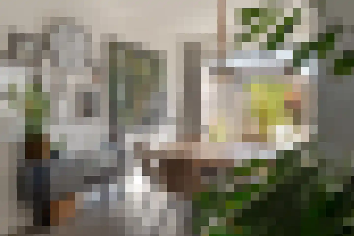 Rozeboom 26 Heino thumbnail 15
