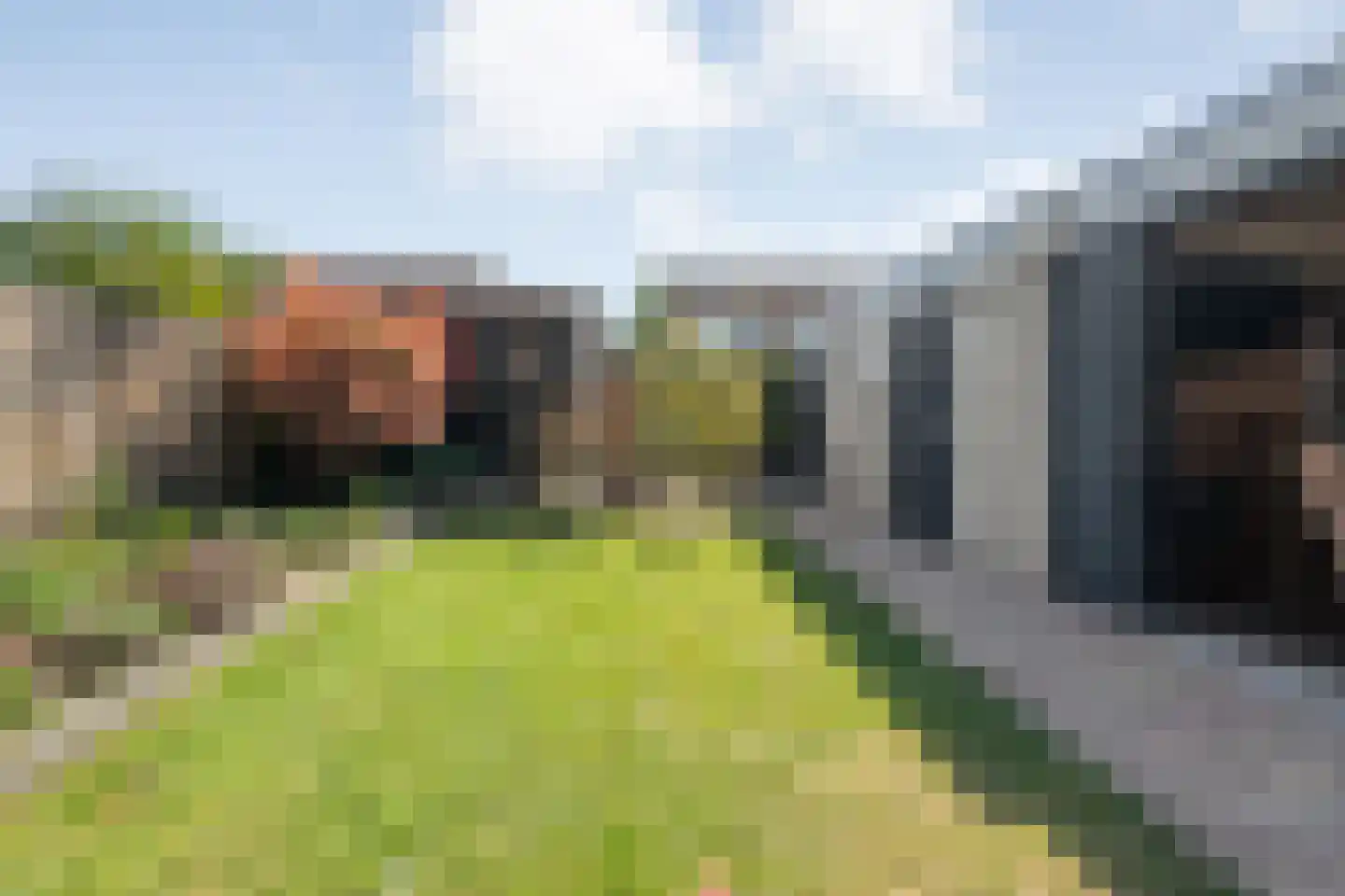 Rozeboom 26 Heino thumbnail 46