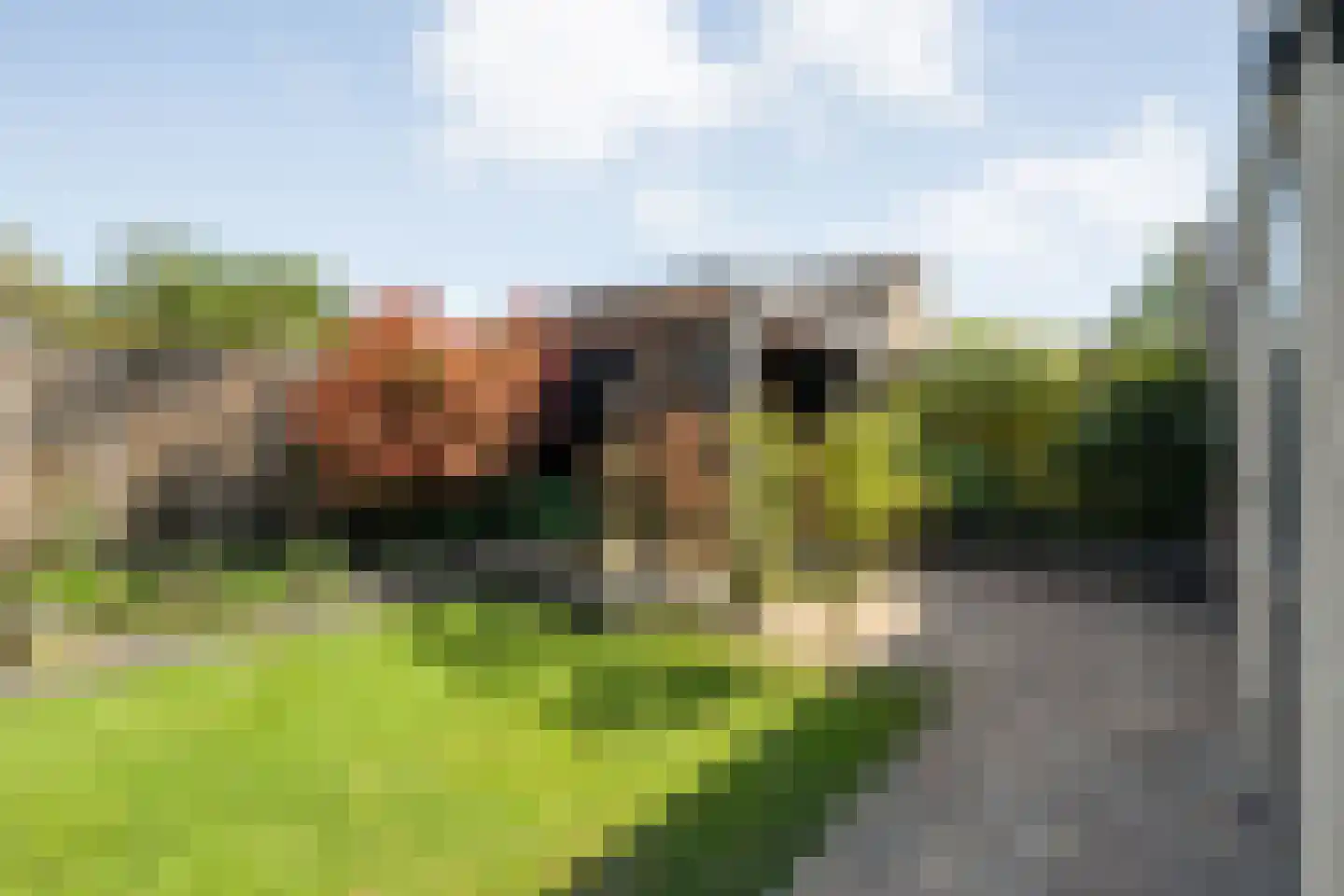 Rozeboom 26 Heino thumbnail 47