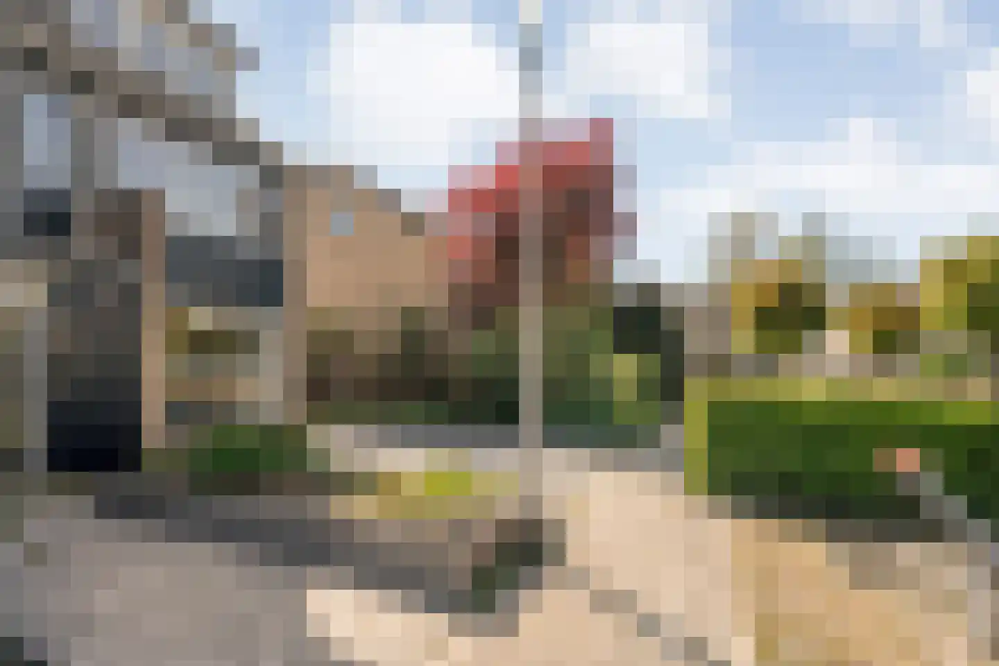 Rozeboom 26 Heino thumbnail 5