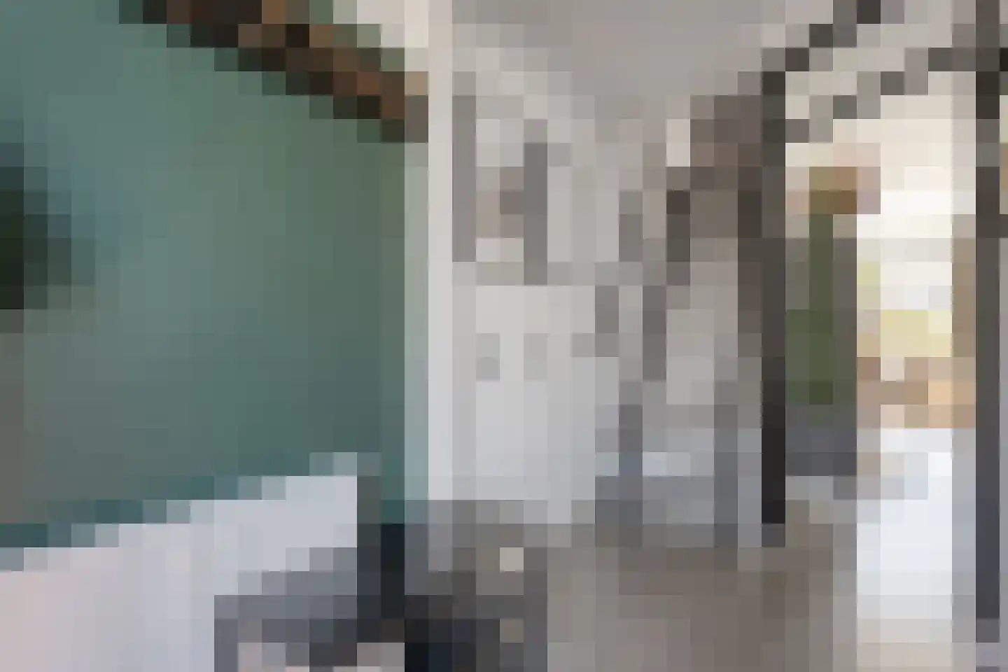Rozeboom 26 Heino thumbnail 8