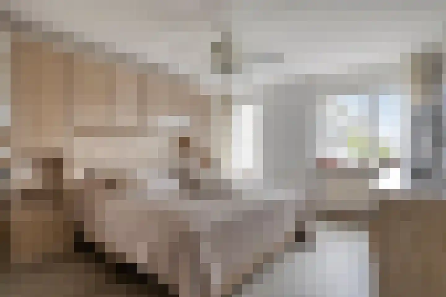 Rozeboom 29 Koog aan de Zaan thumbnail 17