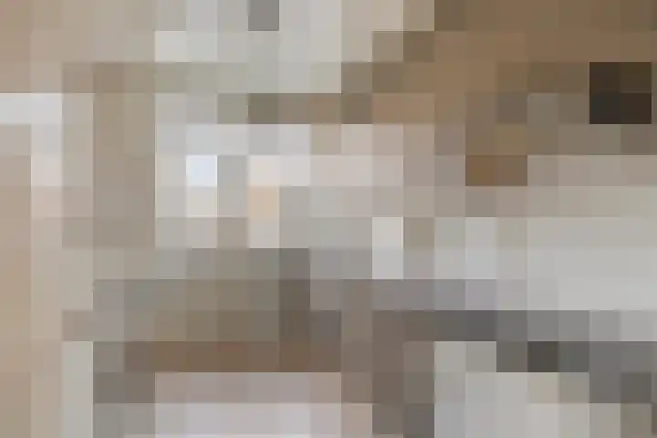 Rozeboom 9 Heino thumbnail 12
