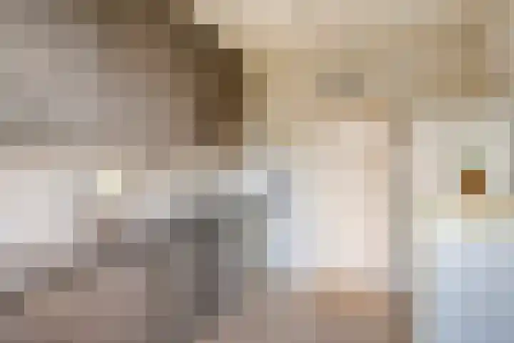 Rozeboom 9 Heino thumbnail 13