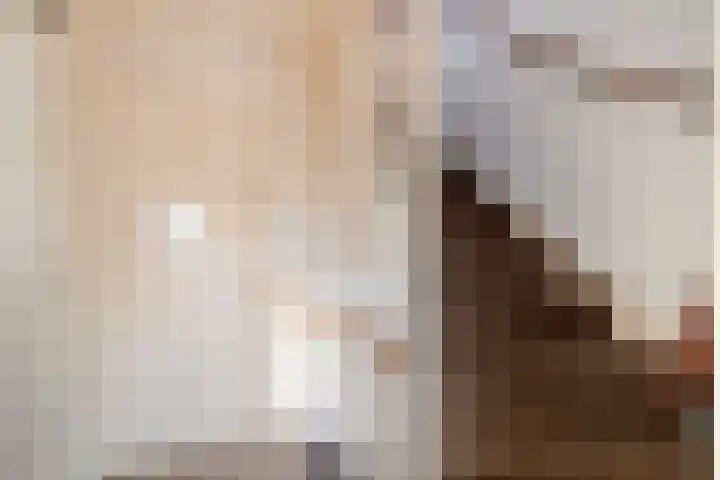 Rozeboom 9 Heino thumbnail 14