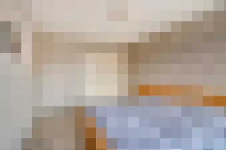 Rozeboom 9 Heino thumbnail 15