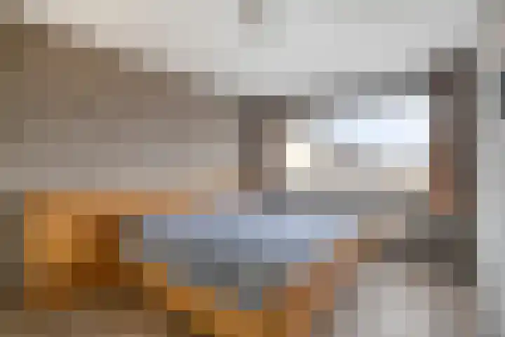 Rozeboom 9 Heino thumbnail 16