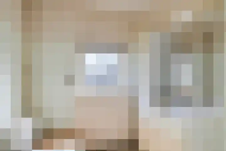 Rozeboom 9 Heino thumbnail 17