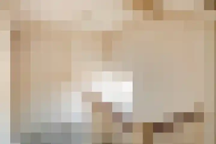 Rozeboom 9 Heino thumbnail 24