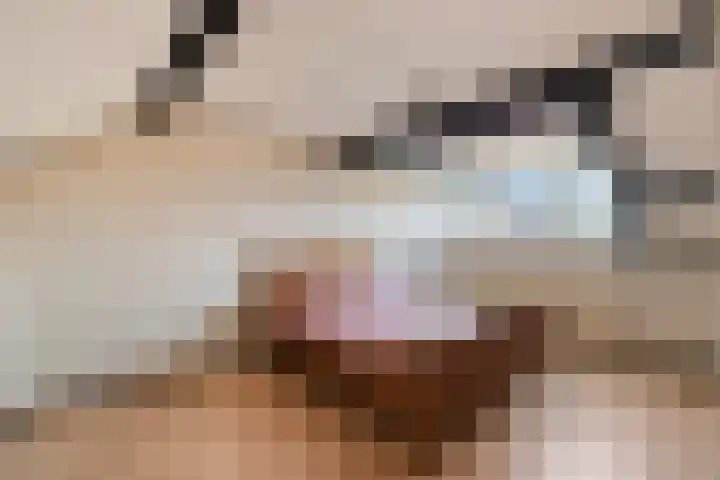 Rozeboom 9 Heino thumbnail 25