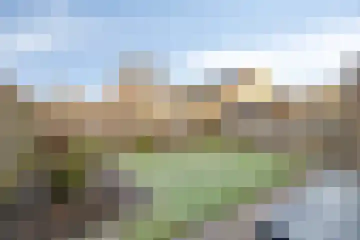 Rozeboom 9 Heino thumbnail 31