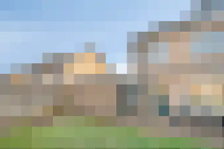 Rozeboom 9 Heino thumbnail 32