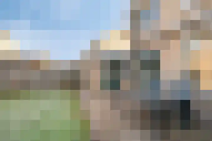 Rozeboom 9 Heino thumbnail 33