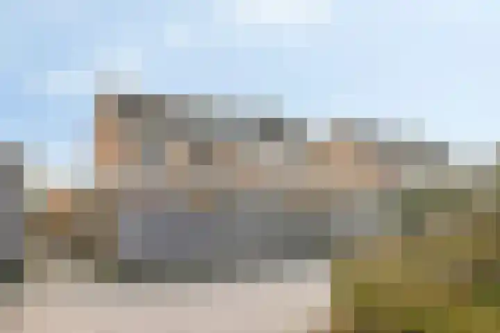 Rozeboom 9 Heino thumbnail 34