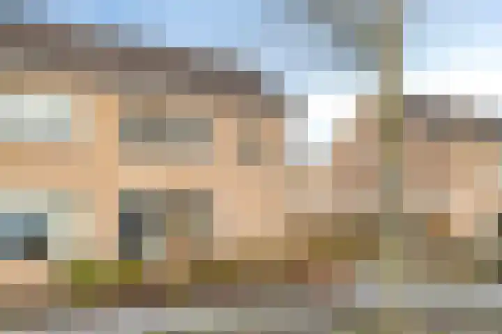 Rozeboom 9 Heino thumbnail 36