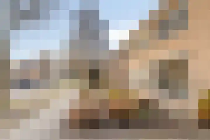 Rozeboom 9 Heino thumbnail 37