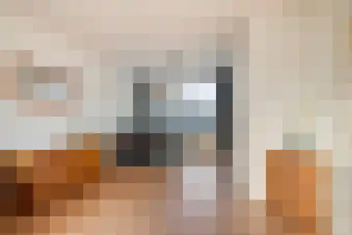 Rozeboom 9 Heino thumbnail 7