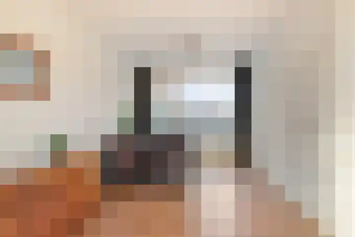 Rozeboom 9 Heino thumbnail 8