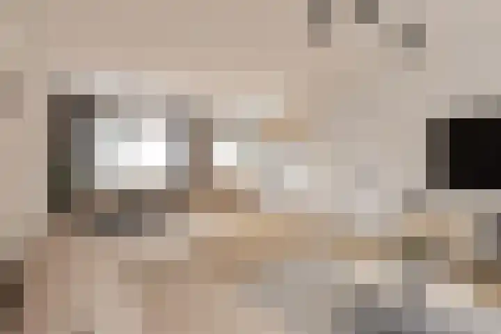 Rozeboom 9 Heino thumbnail 9