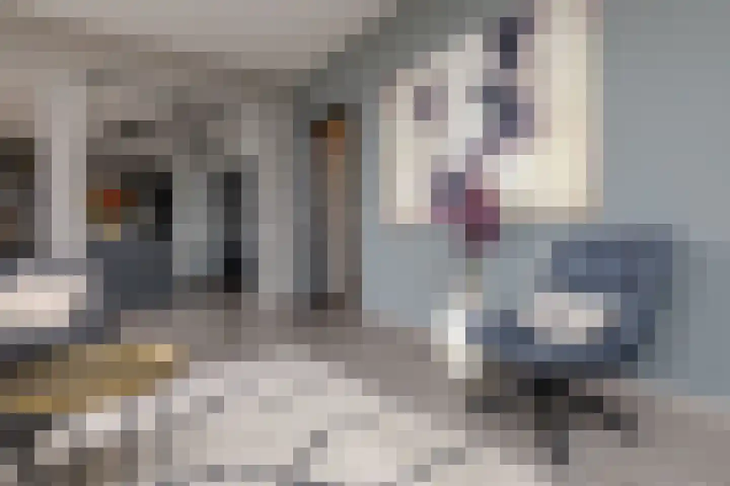 Rozeboomlaan 16 Zwolle thumbnail 10