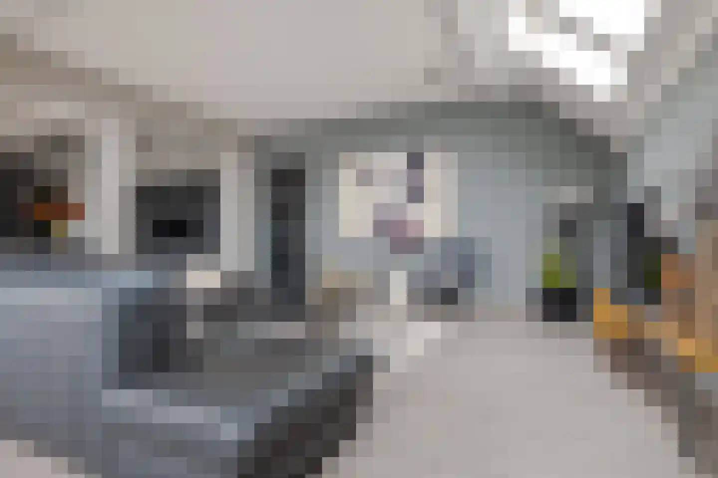 Rozeboomlaan 16 Zwolle thumbnail 15