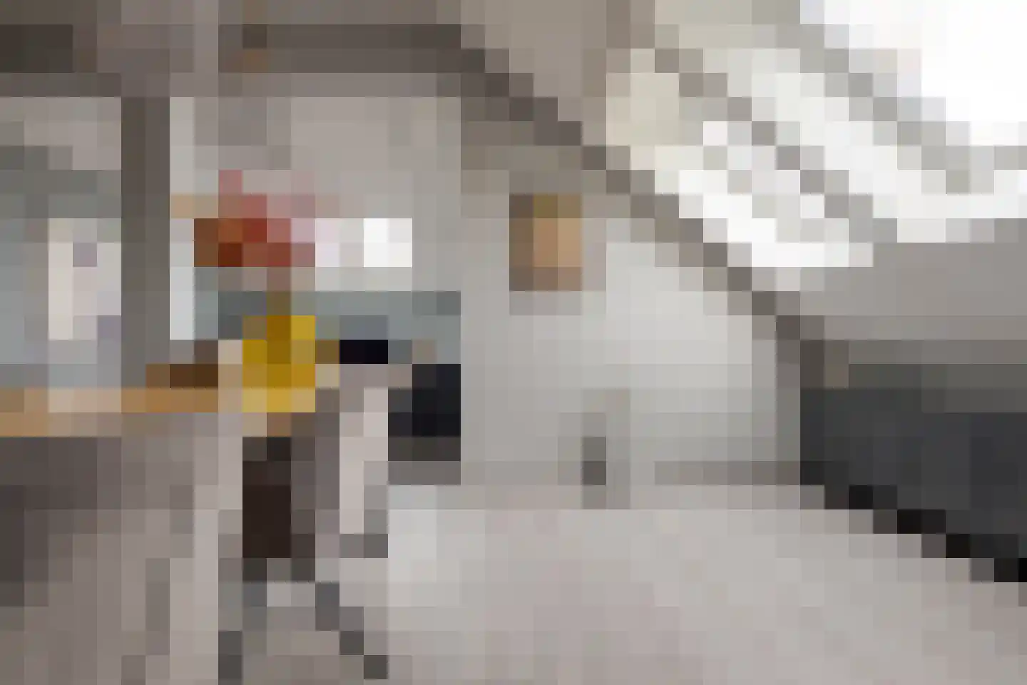Rozeboomlaan 16 Zwolle thumbnail 25