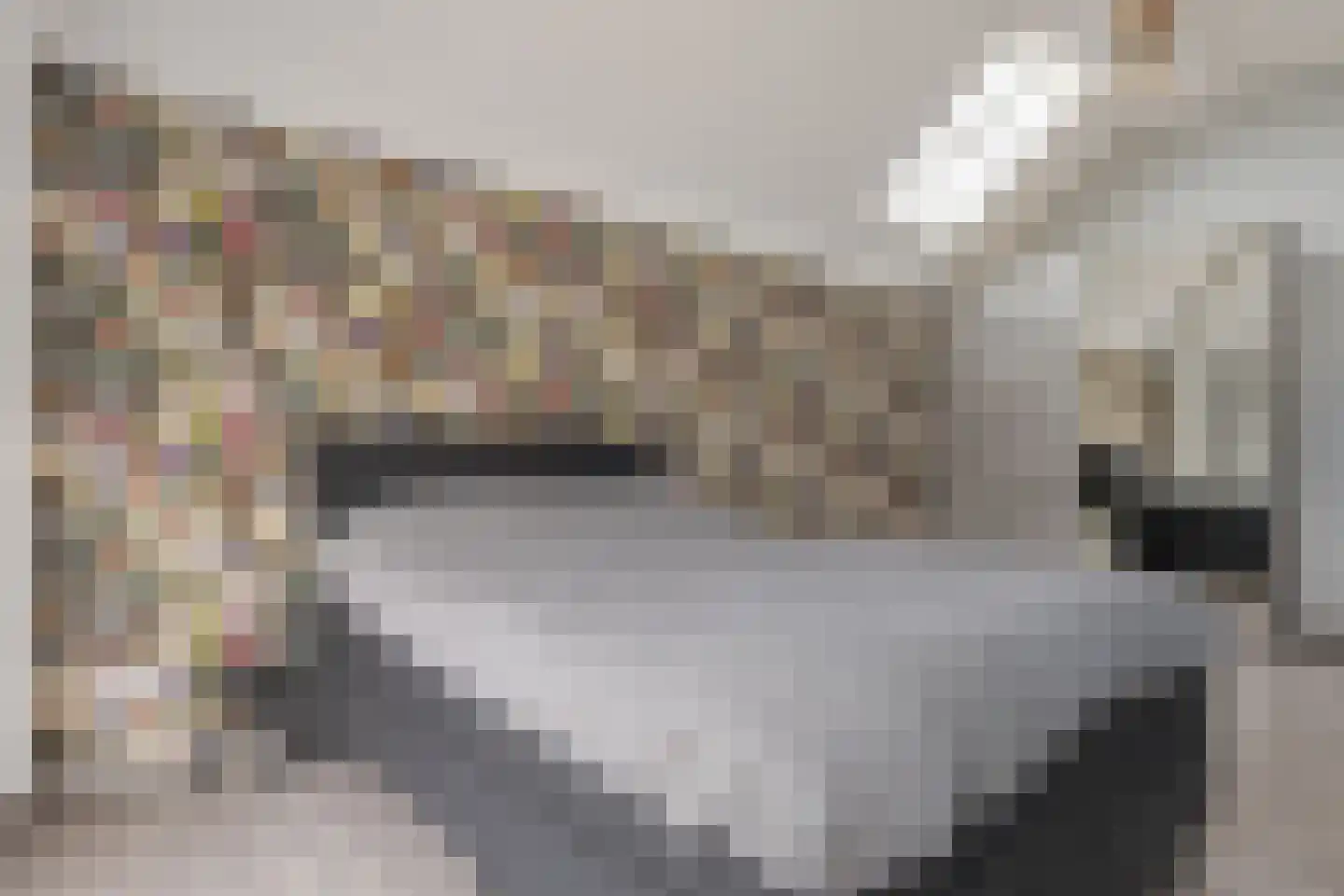Rozeboomlaan 16 Zwolle thumbnail 33