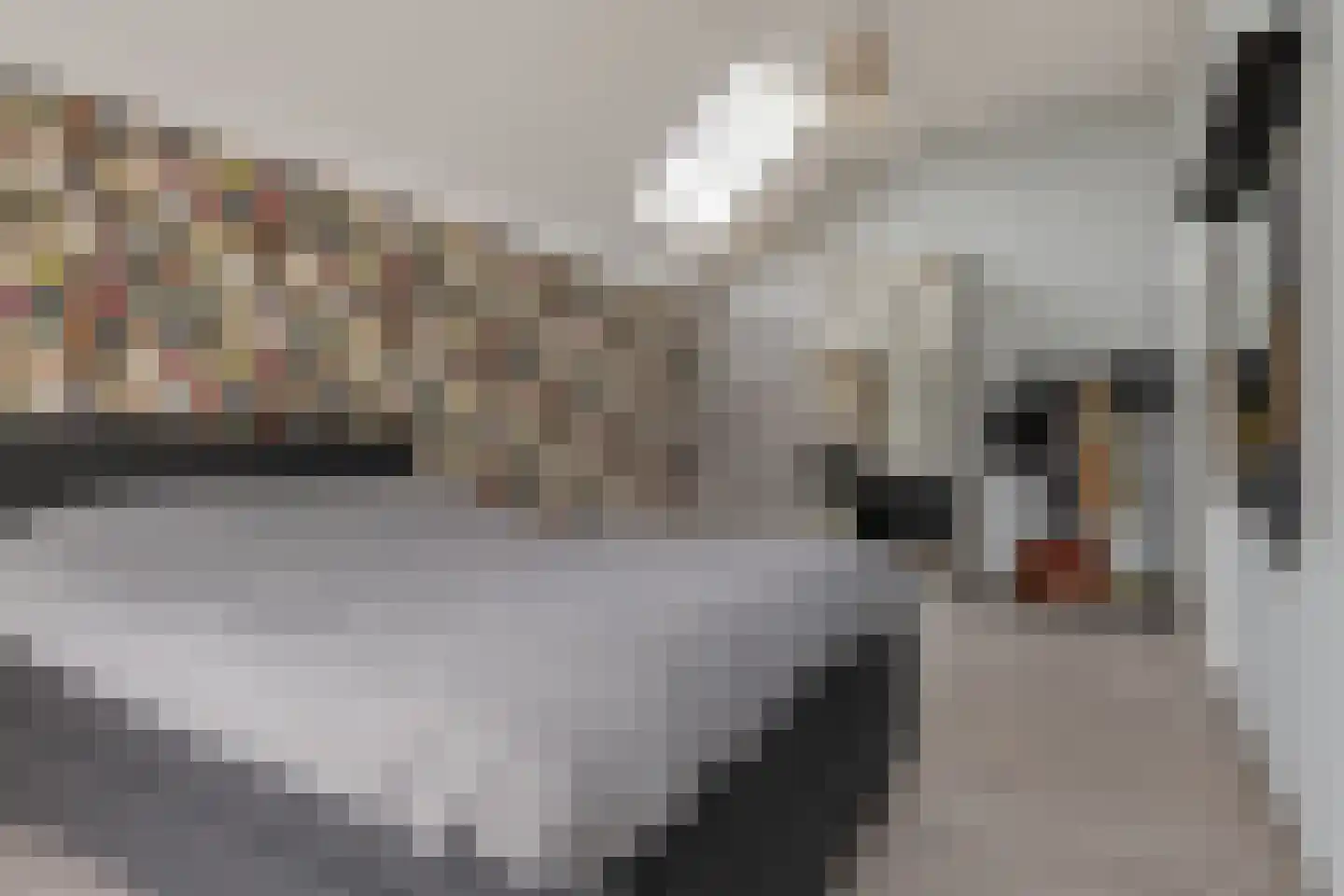 Rozeboomlaan 16 Zwolle thumbnail 34