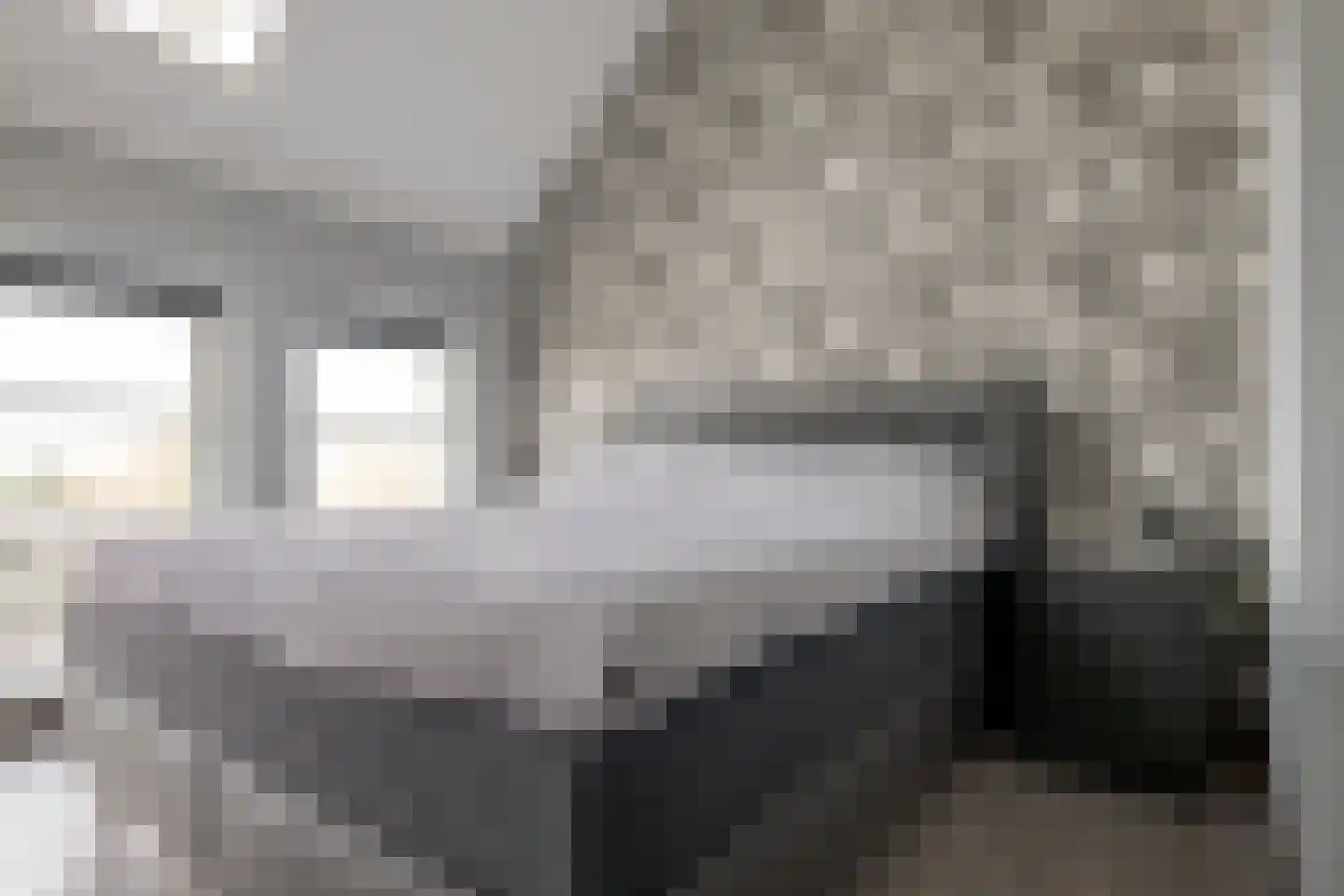 Rozeboomlaan 16 Zwolle thumbnail 37