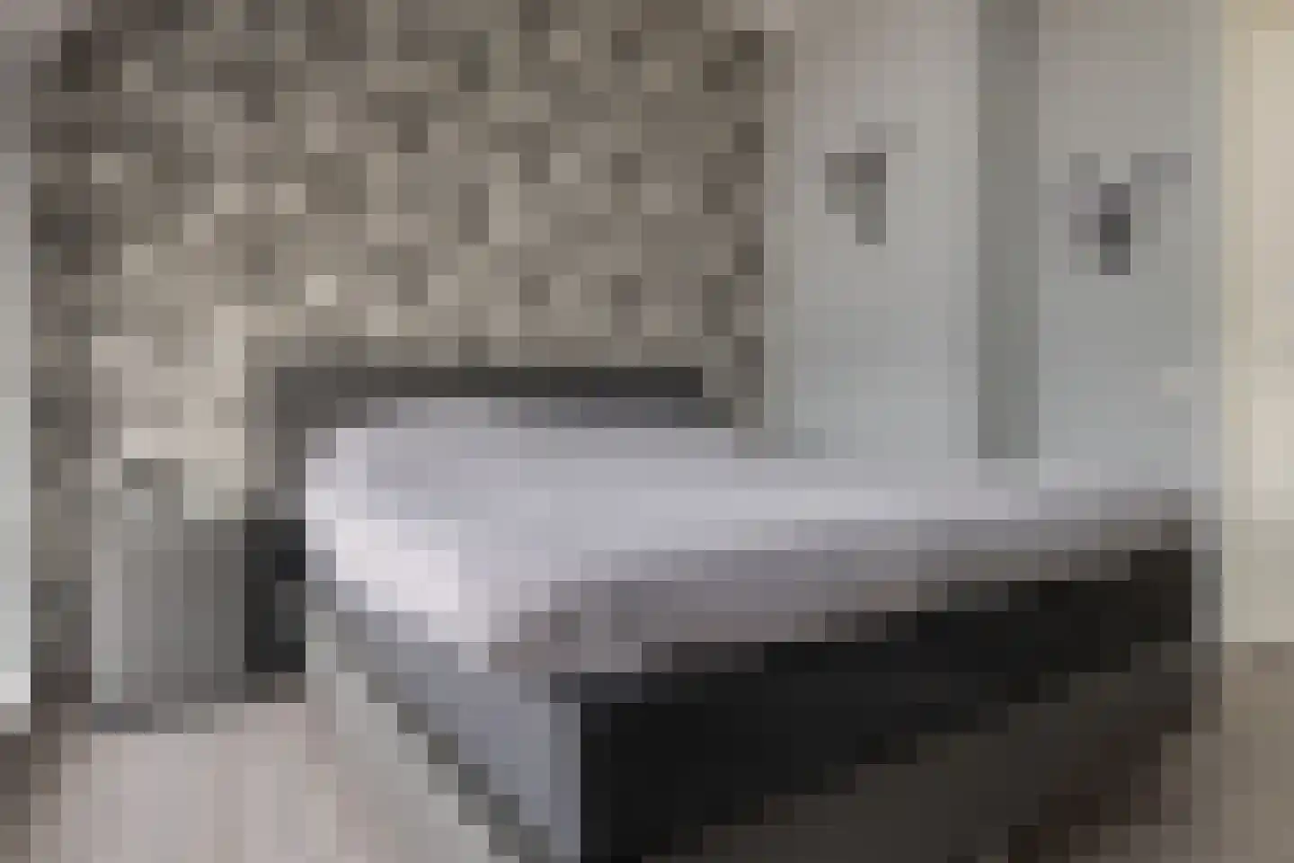 Rozeboomlaan 16 Zwolle thumbnail 38