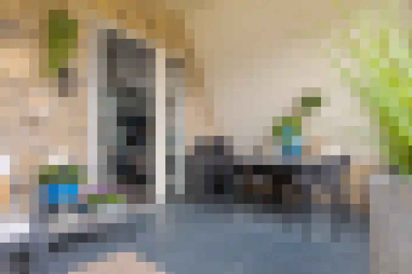 Rozeboomlaan 16 Zwolle thumbnail 8