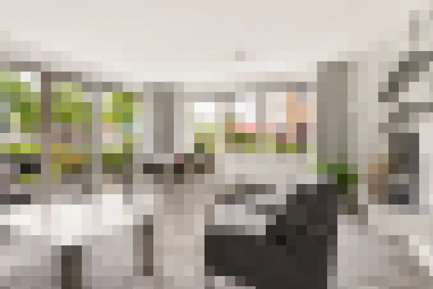Rozeboomlaan 2 Zwolle thumbnail 14