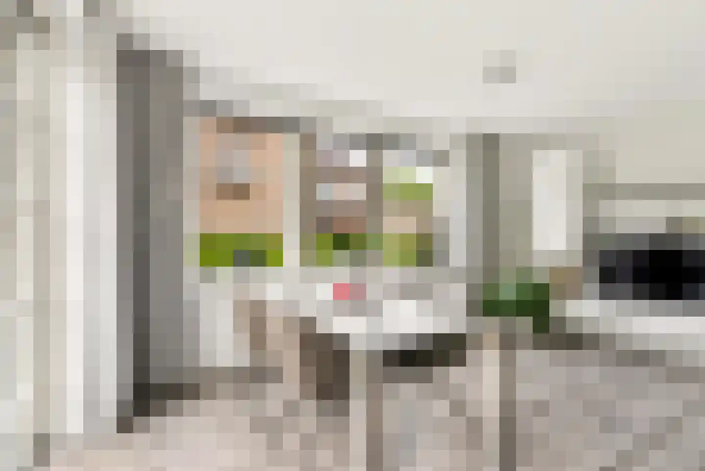 Rozeboomlaan 2 Zwolle thumbnail 18