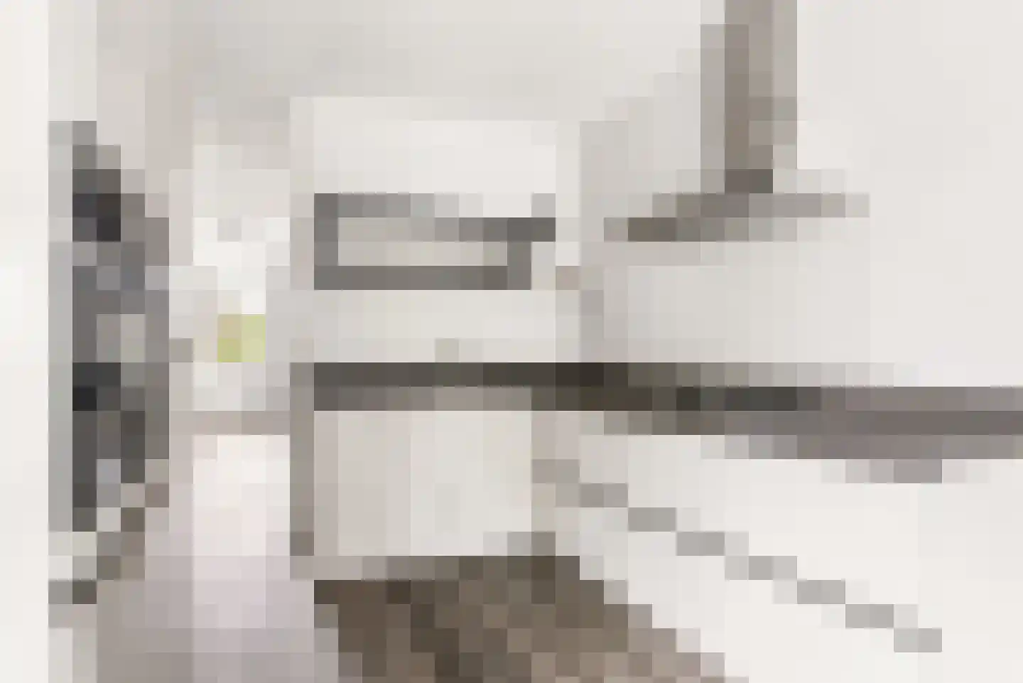 Rozeboomlaan 2 Zwolle thumbnail 24
