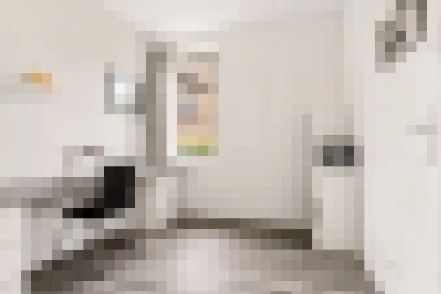 Rozeboomlaan 2 Zwolle thumbnail 30