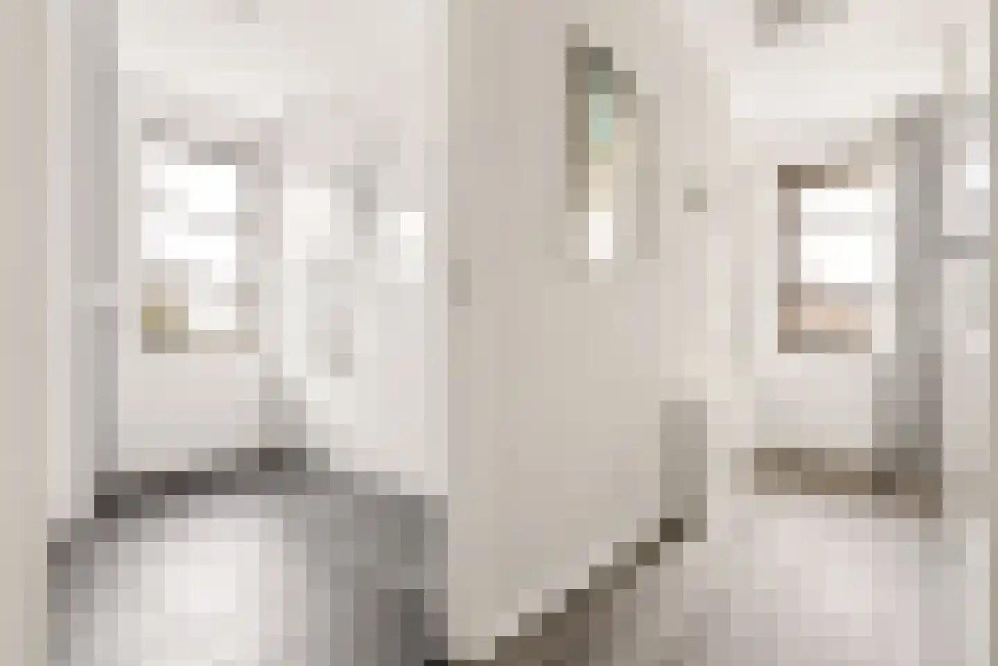 Rozeboomlaan 2 Zwolle thumbnail 32