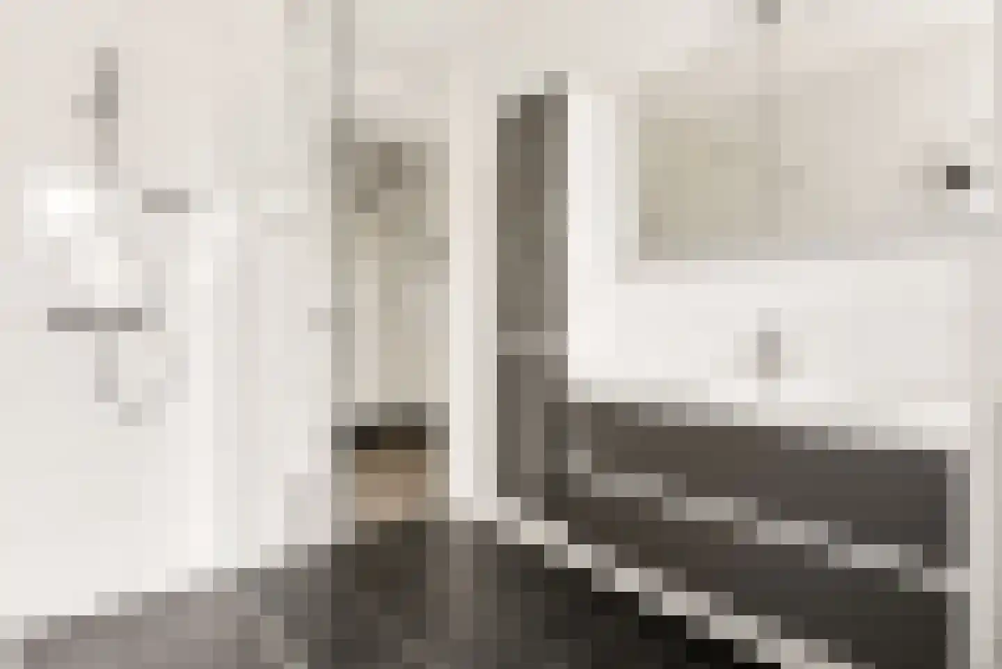 Rozeboomlaan 2 Zwolle thumbnail 34