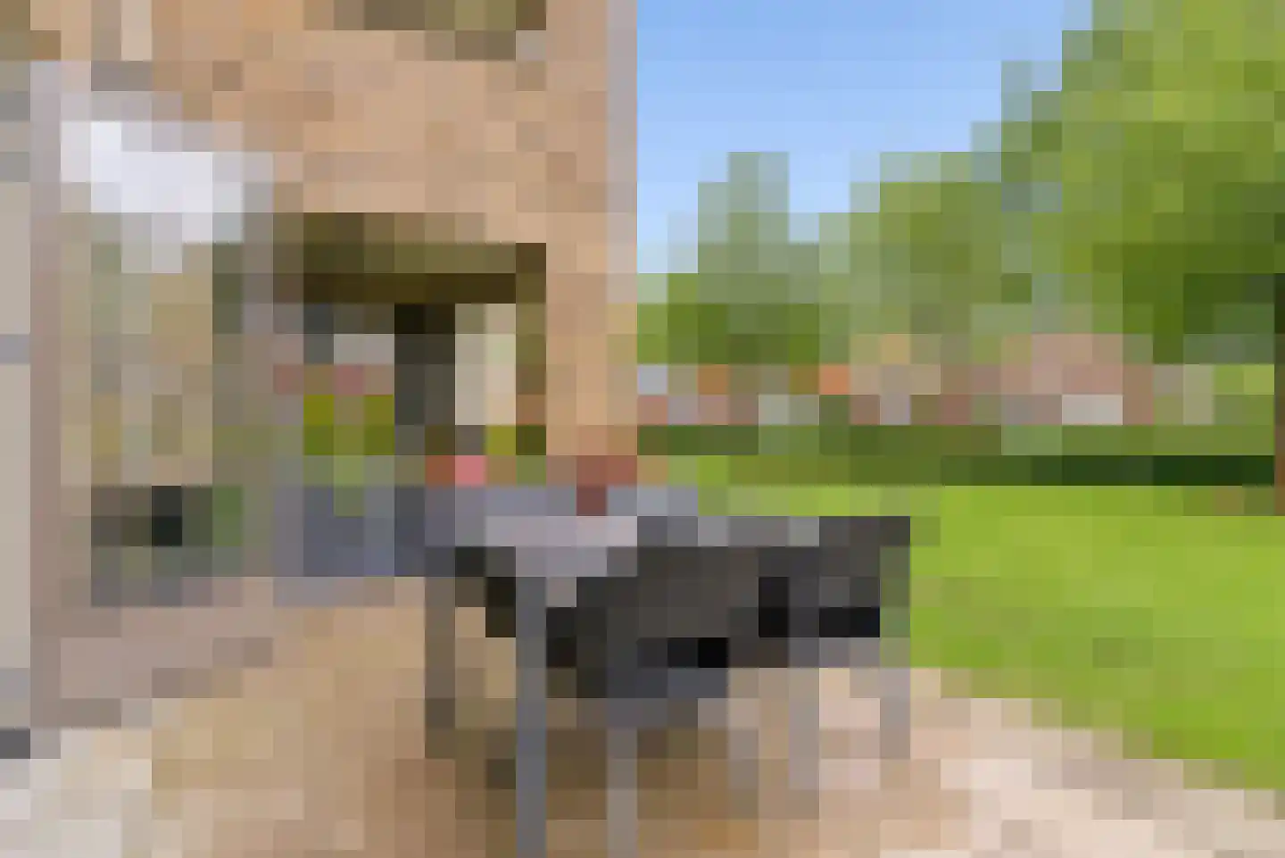 Rozeboomlaan 2 Zwolle thumbnail 44