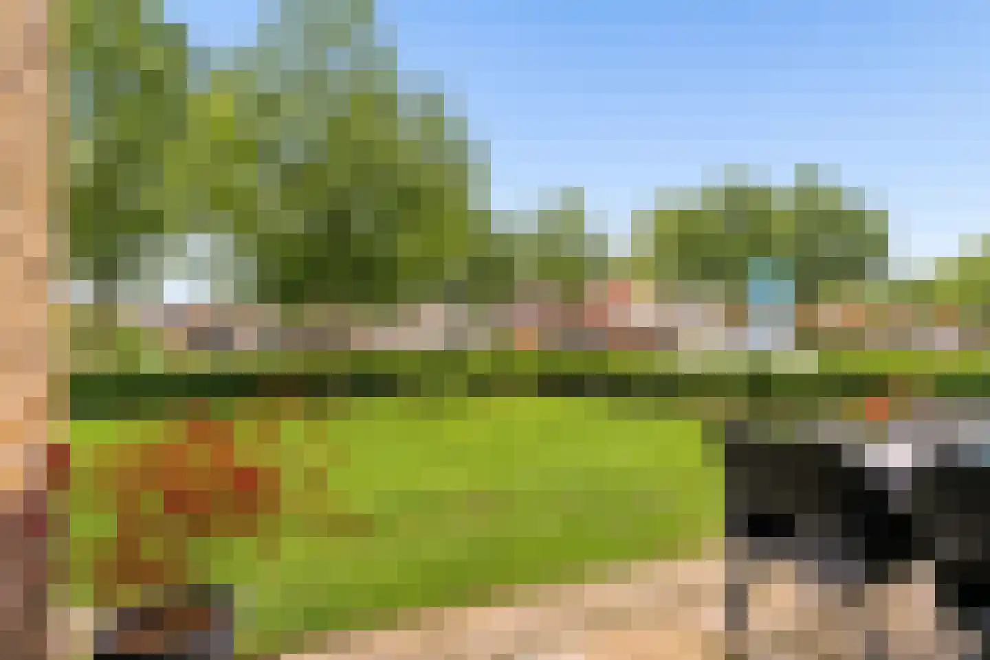Rozeboomlaan 2 Zwolle thumbnail 47